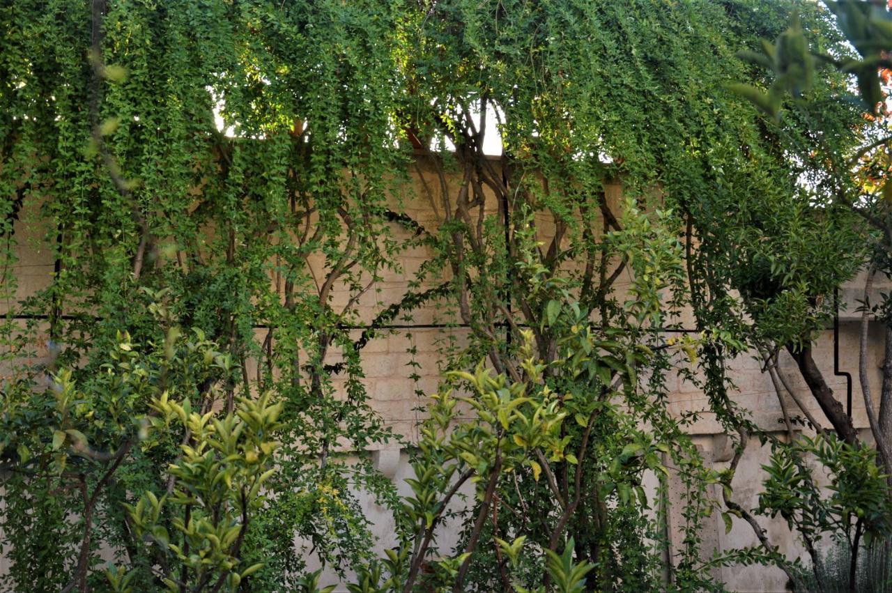 Hotel Il Sogno delle Benedettine Ostuni Esterno foto